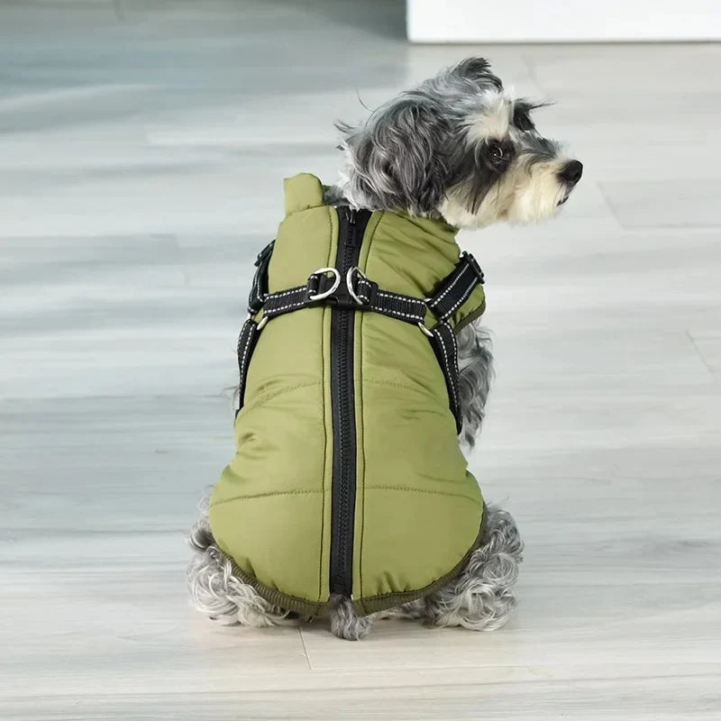 UrbanPaws™ - Stijl Ontmoet Functie: Het Ultieme Winter Essentieel Voor Je Hond