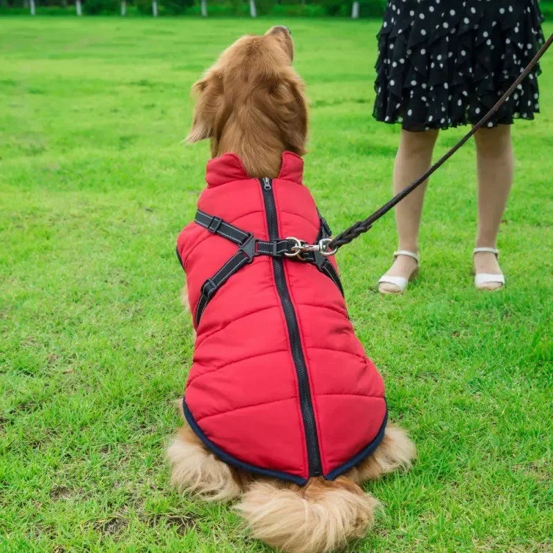 UrbanPaws™ - Stijl Ontmoet Functie: Het Ultieme Winter Essentieel Voor Je Hond