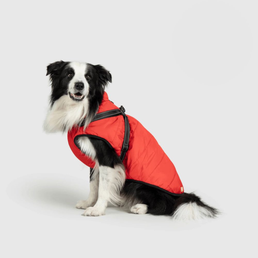 UrbanPaws™ - Stijl Ontmoet Functie: Het Ultieme Winter Essentieel Voor Je Hond