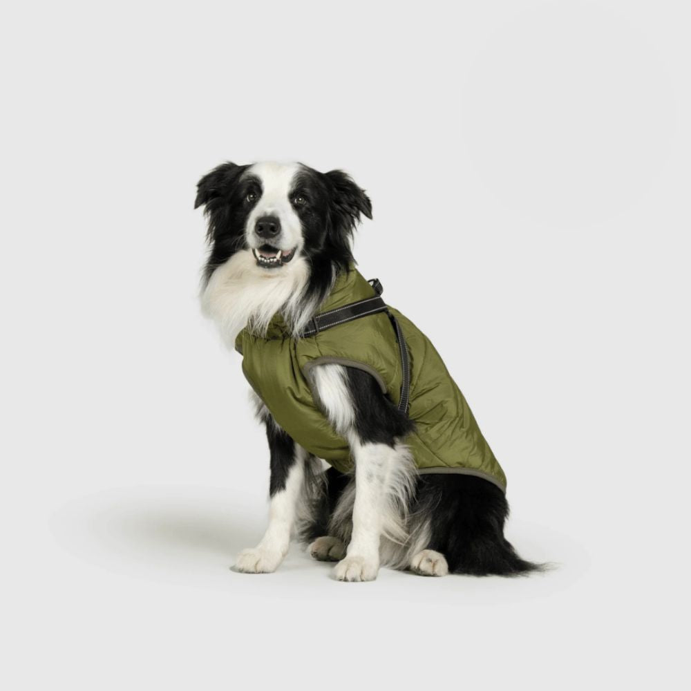 UrbanPaws™ - Stijl Ontmoet Functie: Het Ultieme Winter Essentieel Voor Je Hond