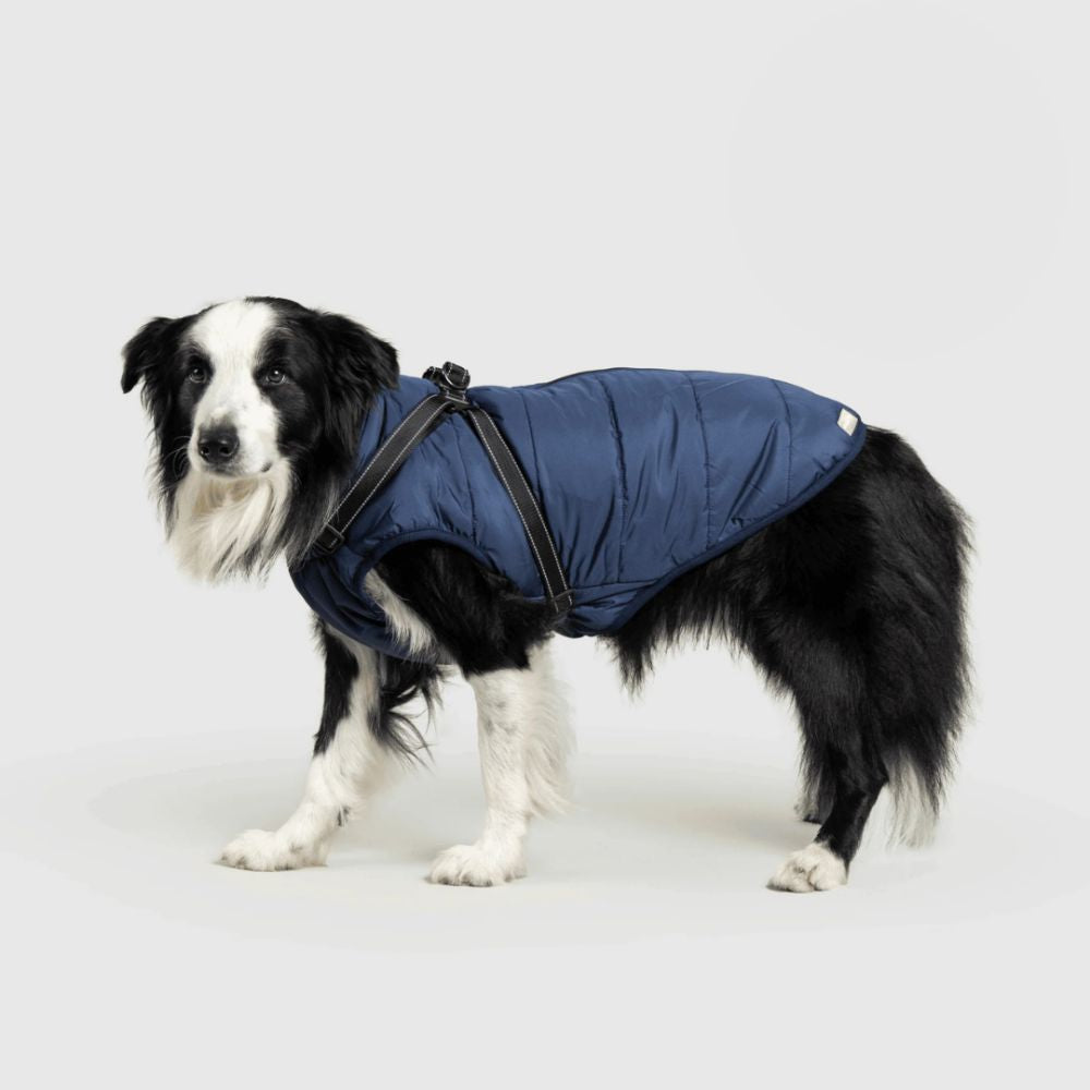 UrbanPaws™ - Stijl Ontmoet Functie: Het Ultieme Winter Essentieel Voor Je Hond