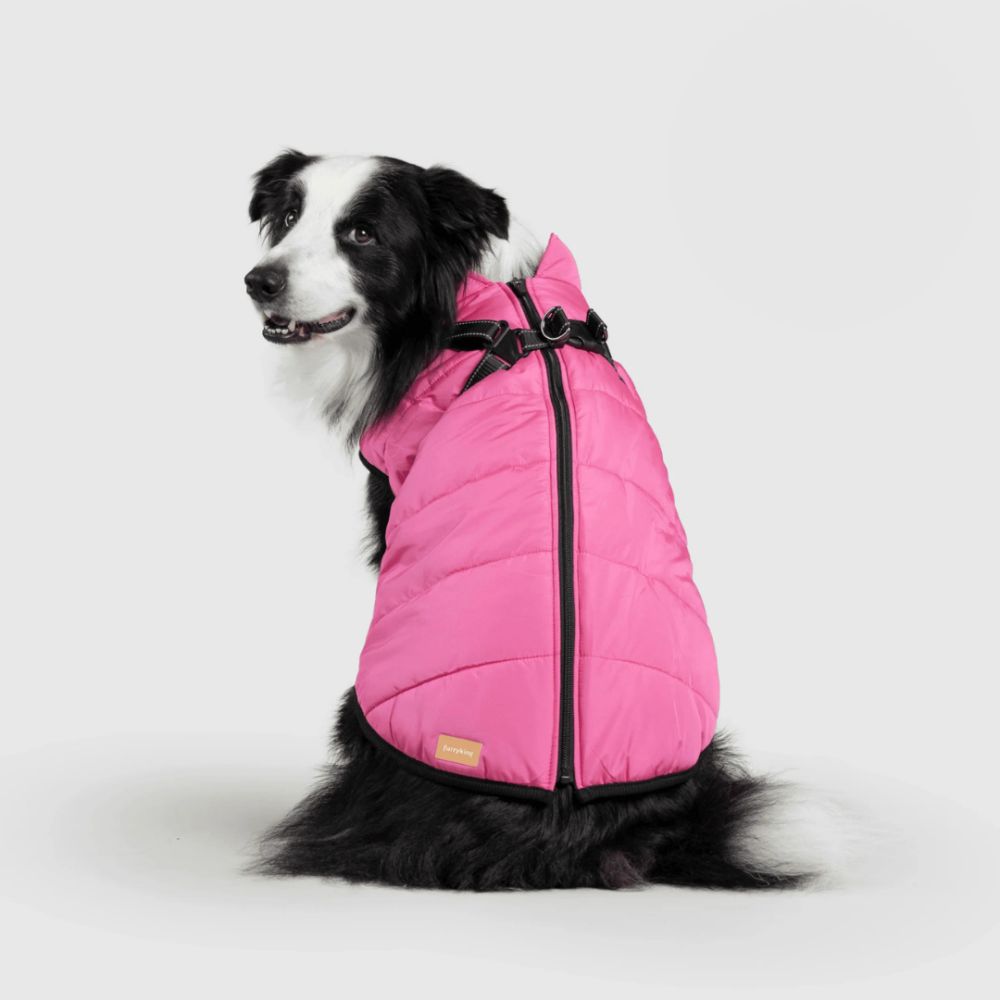 UrbanPaws™ - Stijl Ontmoet Functie: Het Ultieme Winter Essentieel Voor Je Hond