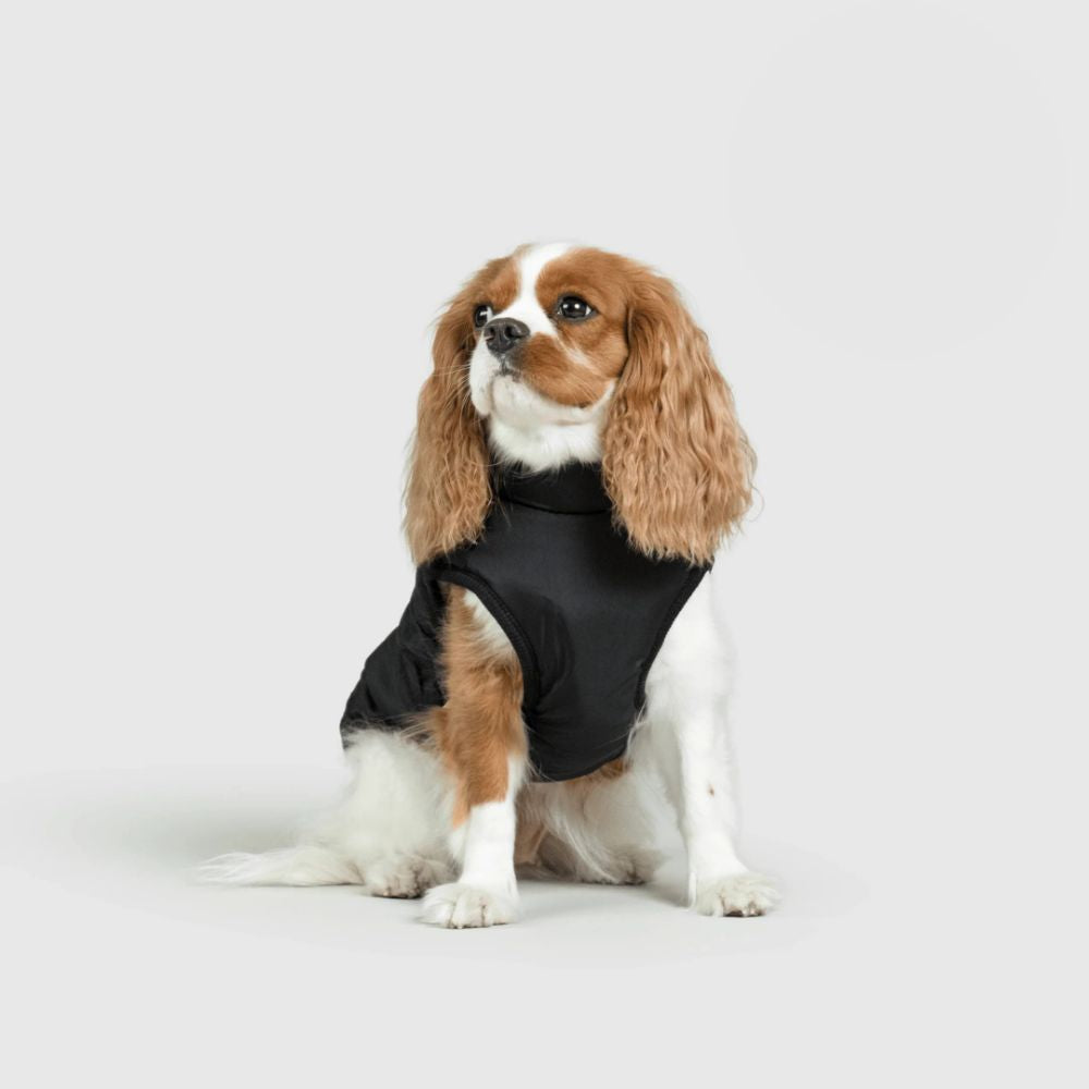 UrbanPaws™ - Stijl Ontmoet Functie: Het Ultieme Winter Essentieel Voor Je Hond