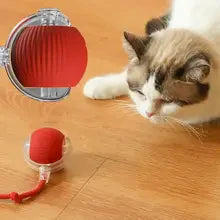 WhiskerWheel – Interactive Cat Toy