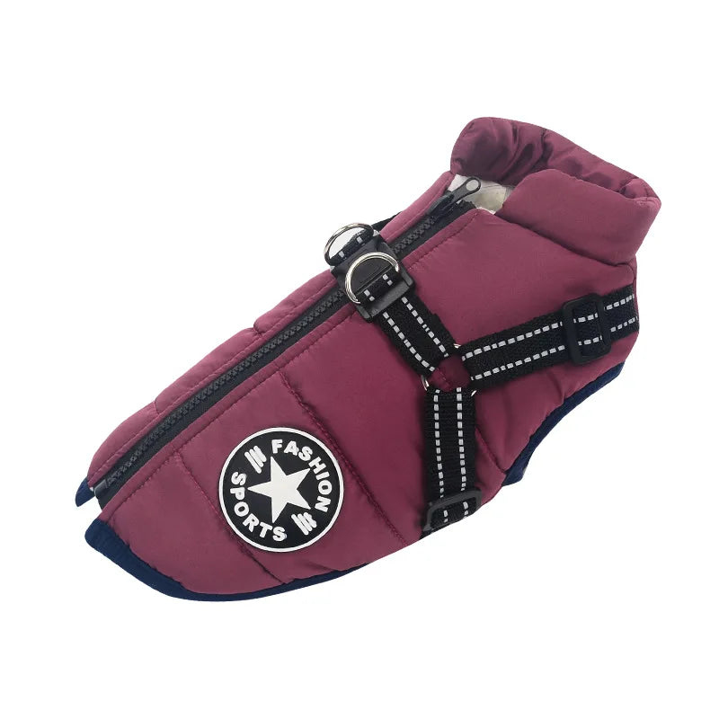 UrbanPaws™ - Stijl Ontmoet Functie: Het Ultieme Winter Essentieel Voor Je Hond