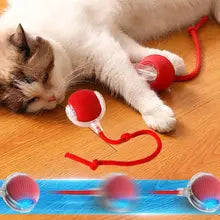 WhiskerWheel – Interactive Cat Toy