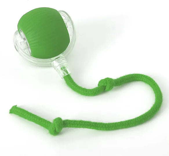 WhiskerWheel – Interactive Cat Toy