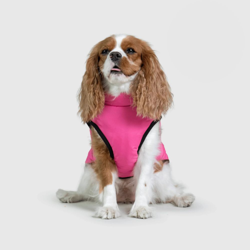 UrbanPaws™ - Stijl Ontmoet Functie: Het Ultieme Winter Essentieel Voor Je Hond
