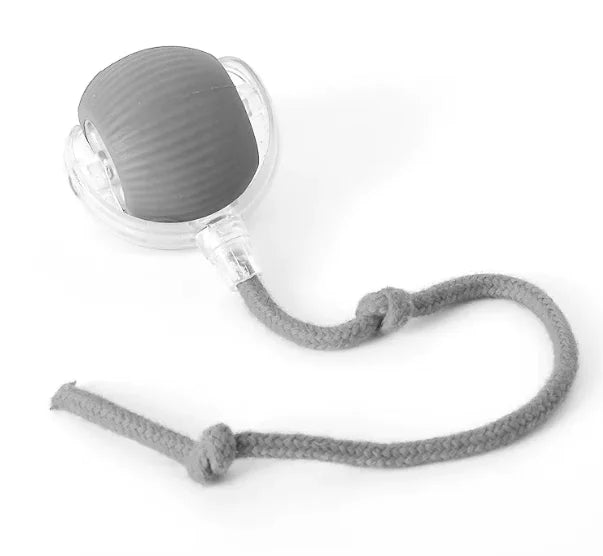 WhiskerWheel – Interactive Cat Toy