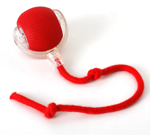 WhiskerWheel – Interactive Cat Toy
