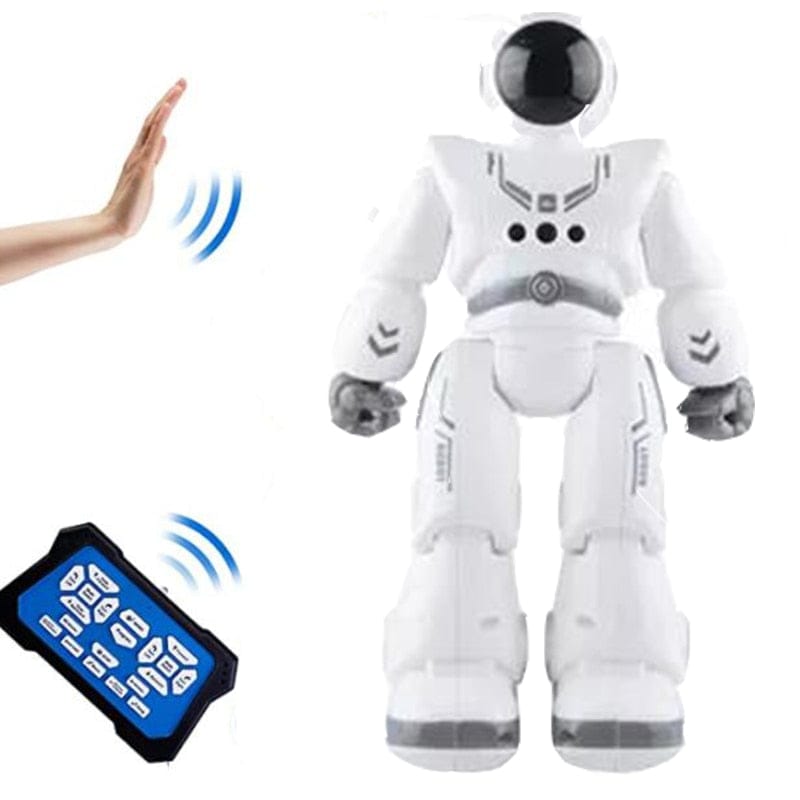 SmartFriend⢠Robot