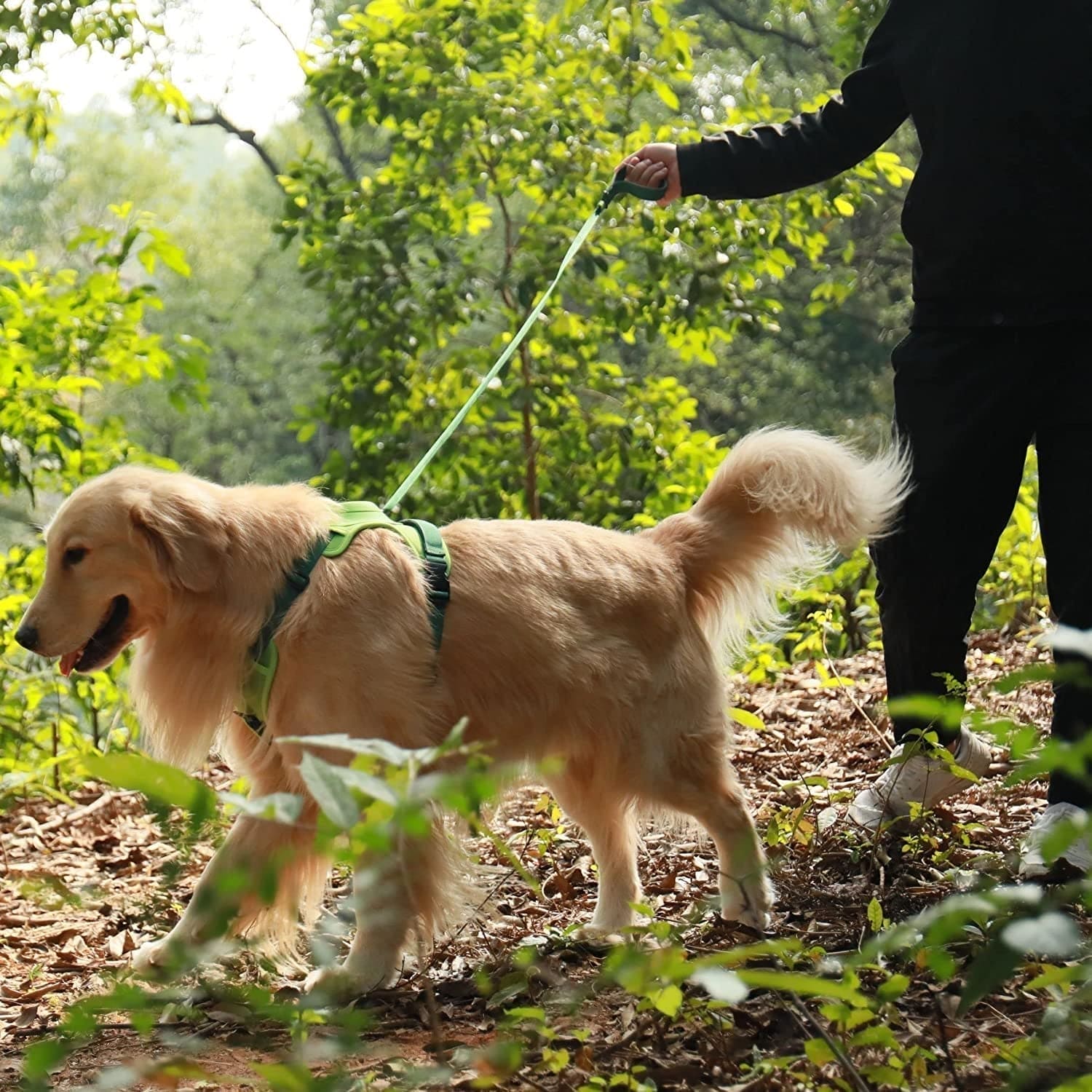 WalkLine™ | Ontspan, Loop en Connect Veilig