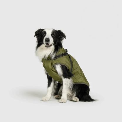 UrbanPaws™ - Stijl Ontmoet Functie: Het Ultieme Winter Essentieel Voor Je Hond