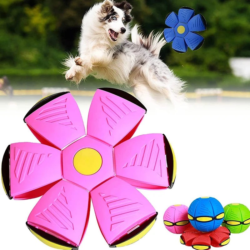 The Doggy Disc Ball