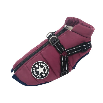 UrbanPaws™ - Stijl Ontmoet Functie: Het Ultieme Winter Essentieel Voor Je Hond