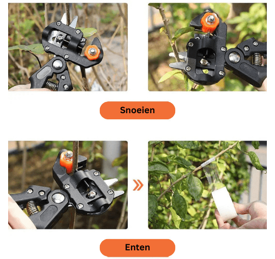 Professional garden tools for pruning and grafting