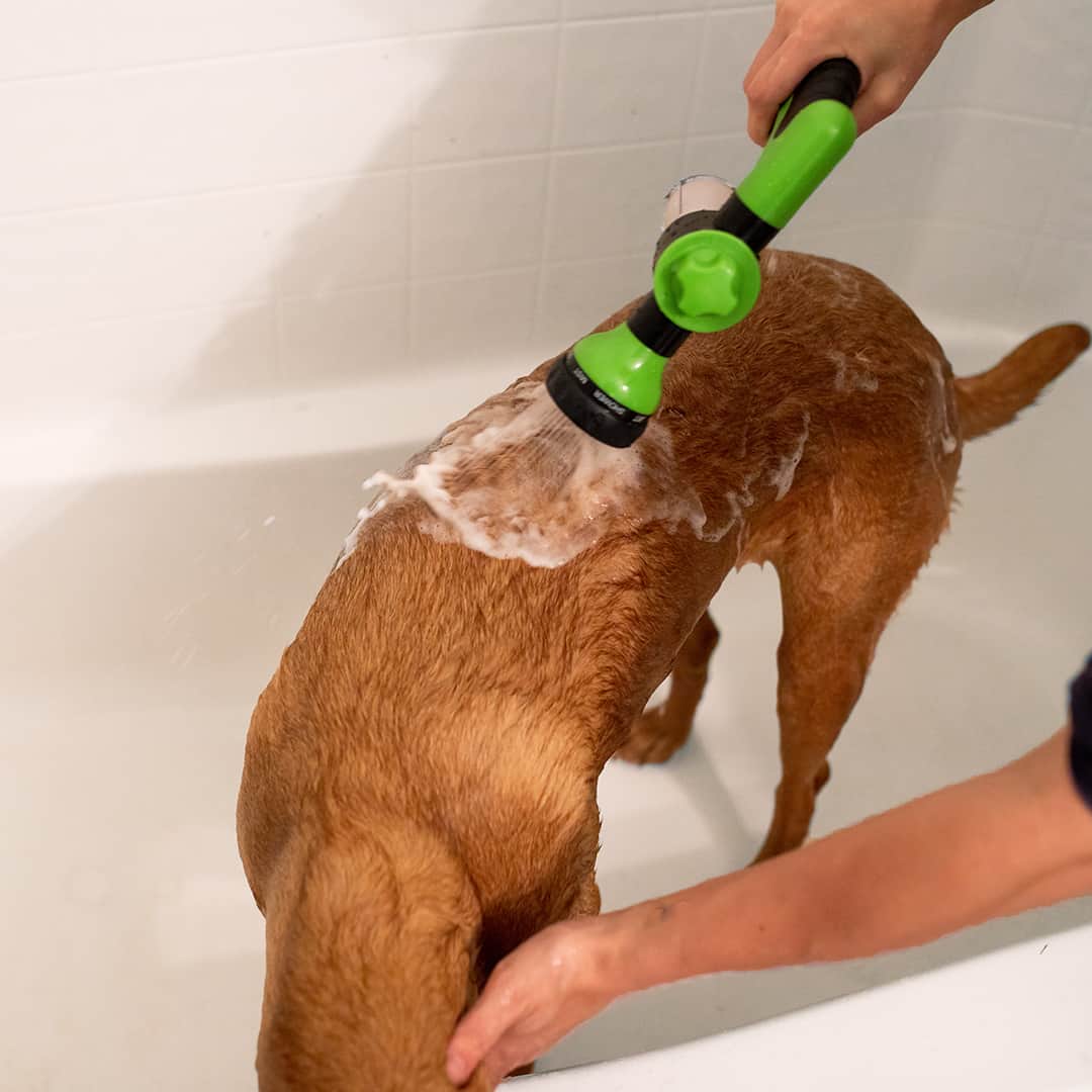 WaterWoef™ | Moeiteloos je hond wassen met elke slang