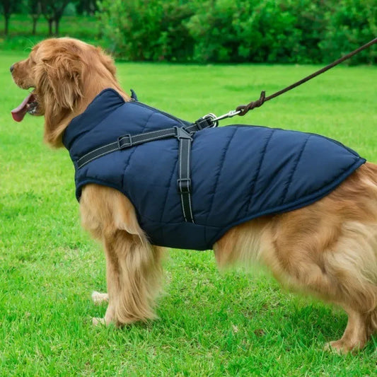 UrbanPaws™ - Stijl Ontmoet Functie: Het Ultieme Winter Essentieel Voor Je Hond