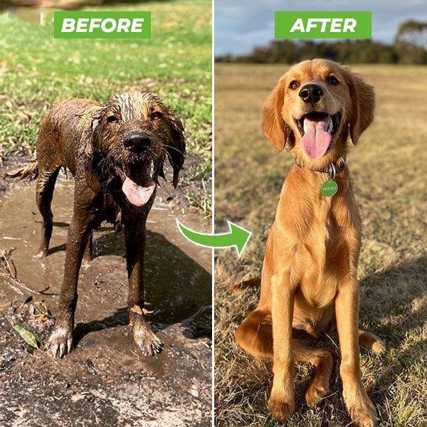 WaterWoef™ | Moeiteloos je hond wassen met elke slang