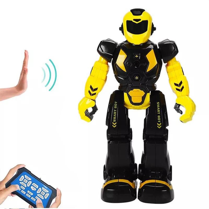 SmartFriend™ Robot